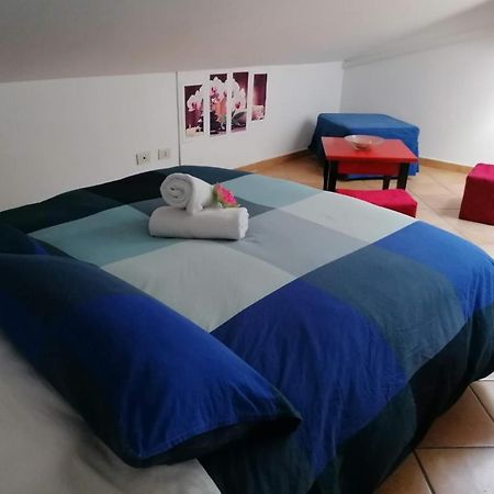 Casa Del Loto Leilighet Fiumicino Eksteriør bilde